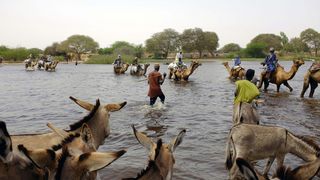 Herders and others cross a tributary of Lake Chad to the village of N