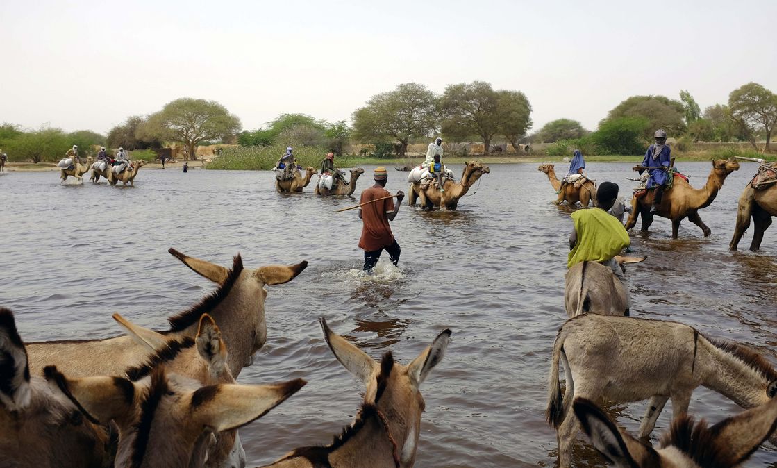 Viehhüter*innen und andere überqueren einen Nebenfluss des Tschadsees zum Dorf N
