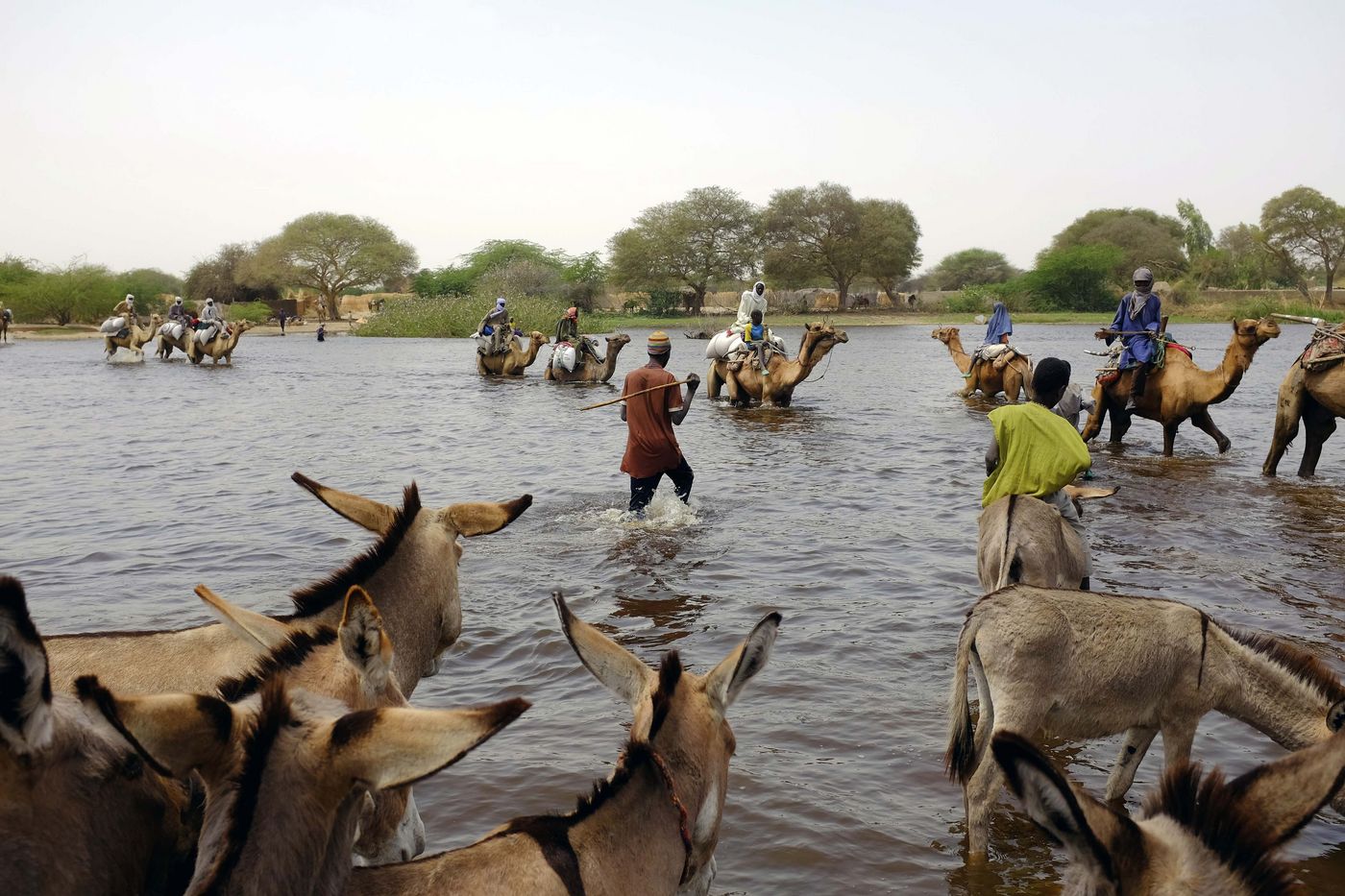 Herders and others cross a tributary of Lake Chad to the village of N