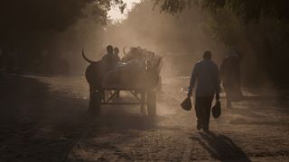 2018 : Une rue du marché à Diffa, au Niger.