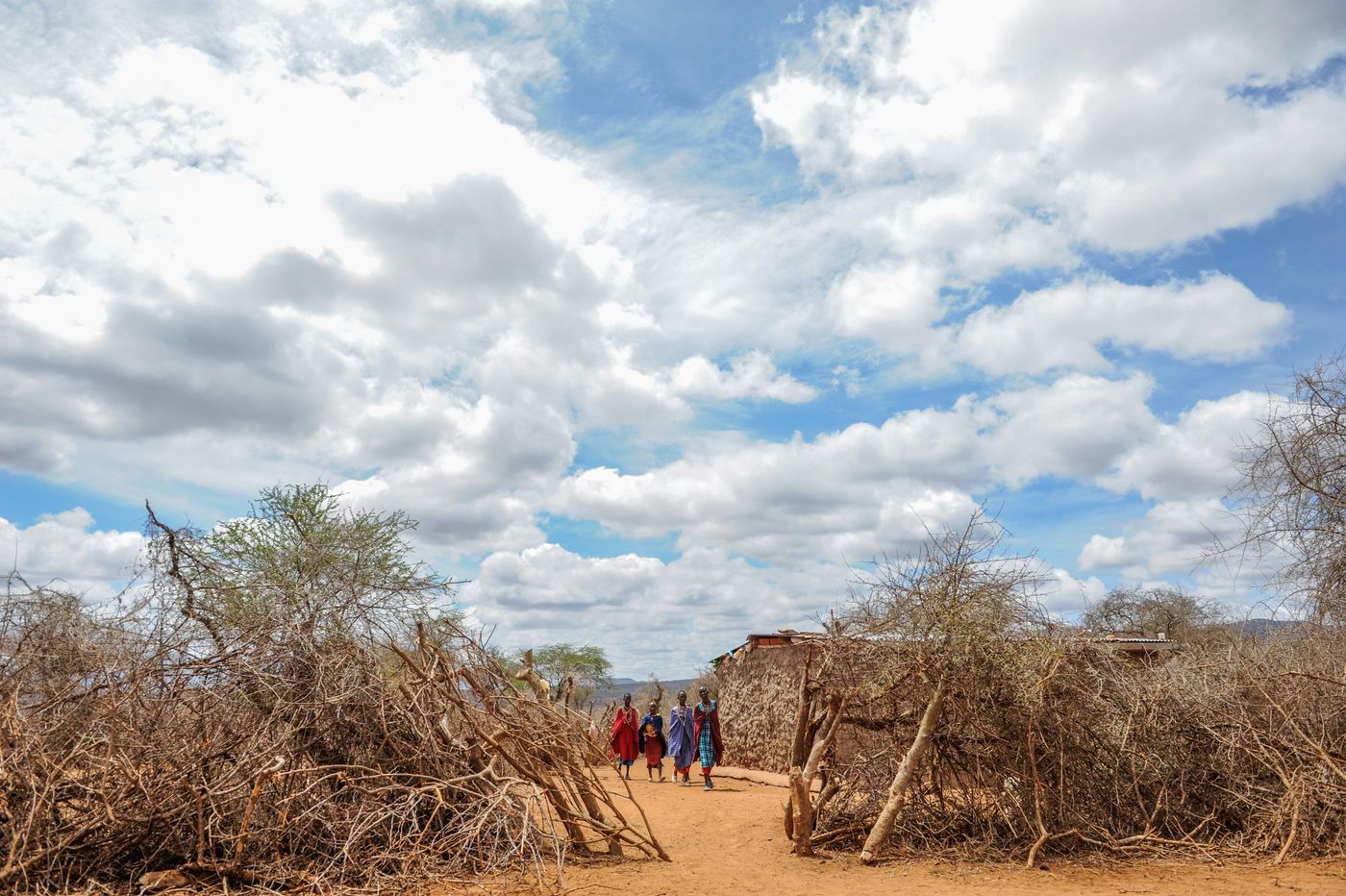 Kajiado, Kenia, 2022: Die Kenianer*innen im Rift Valley sind mit zunehmender Nahrungsmittel- und Wasserknappheit konfrontiert.